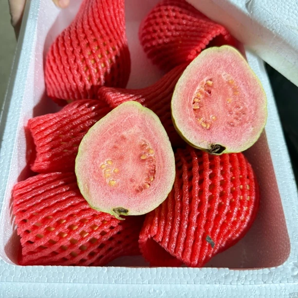 草莓红心芭乐净果【2.5斤±0.2斤】当季新鲜水果新鲜采摘番石榴【顺丰包邮次日达】