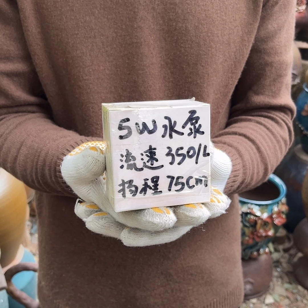 5 W流水泵正品正品