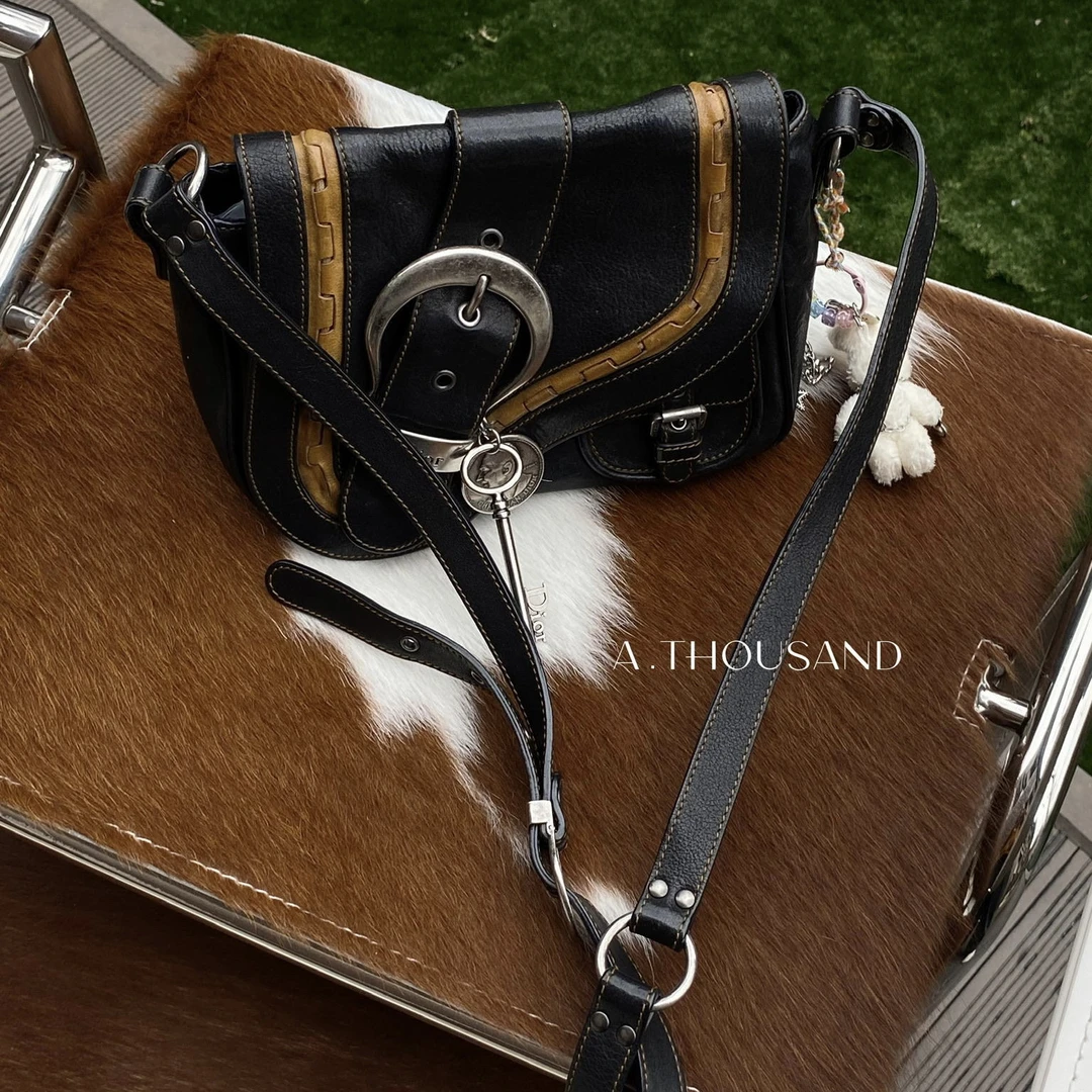 95新 DIOR/迪奥 Dior黑棕高乔马鞍mini底长23斜挎包71141145