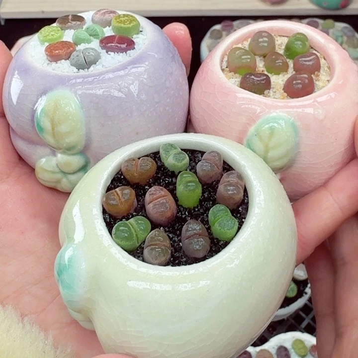 529零下地区记得拍保温箱