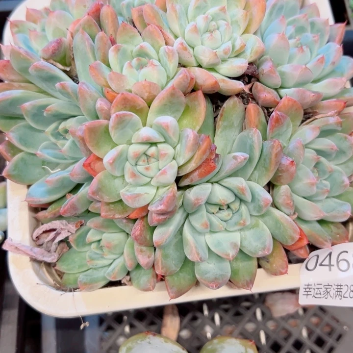 幸运的是我没有遇到过这样