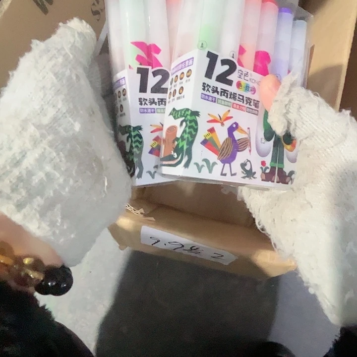 12色丙烯马克笔拍一发二。