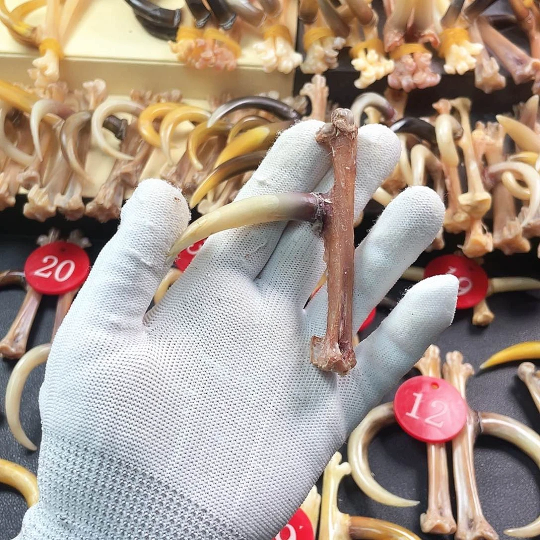 鸡骨（鸡脚）手串/手链手把件