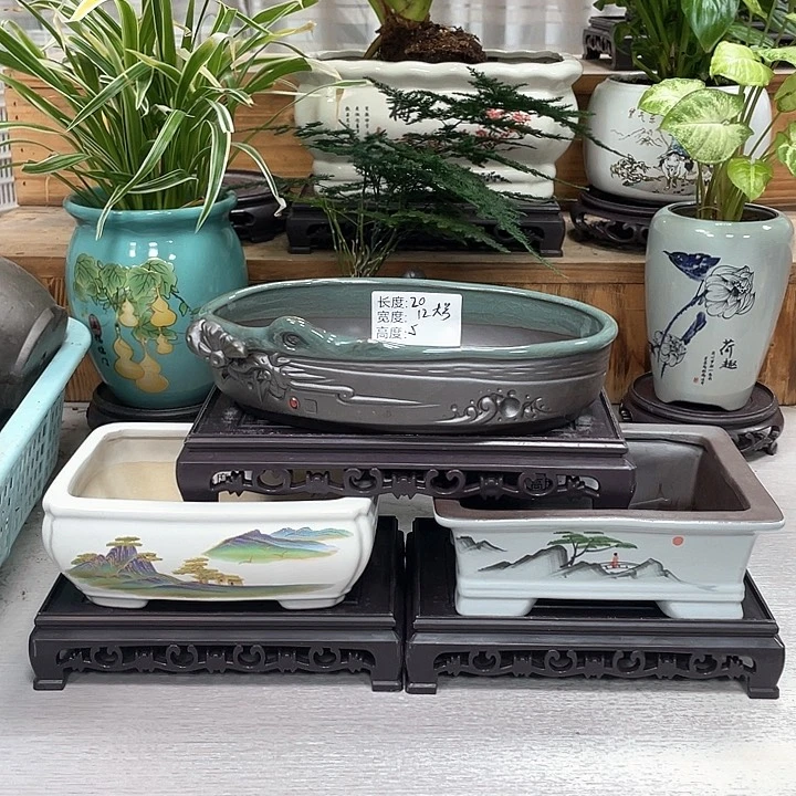 花盆花盆抢购福利多多