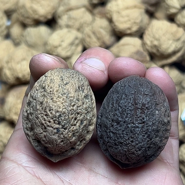 把件文玩核桃37号花彩小罗汉35尺