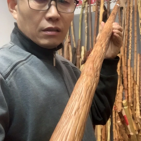 德***生铁甲核桃文长151厘米