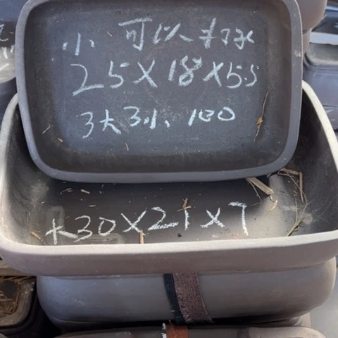 100-8。    微瑕。