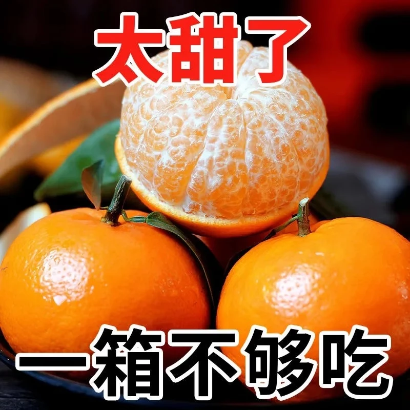 沃柑包邮广西武鸣沃柑水果新鲜当季现摘应季整箱柑橘桔子橘子