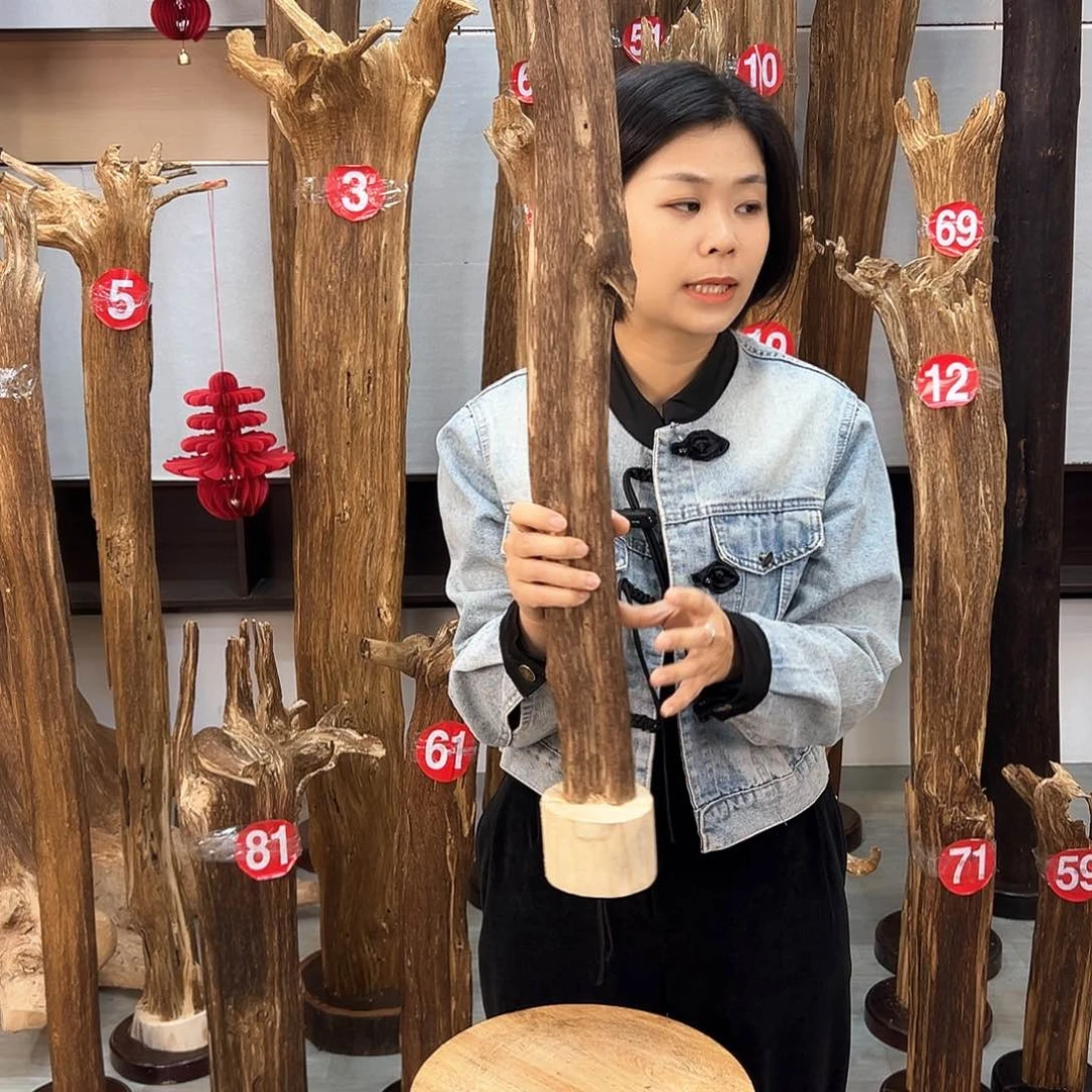 沉香摆件海南沉香摆件