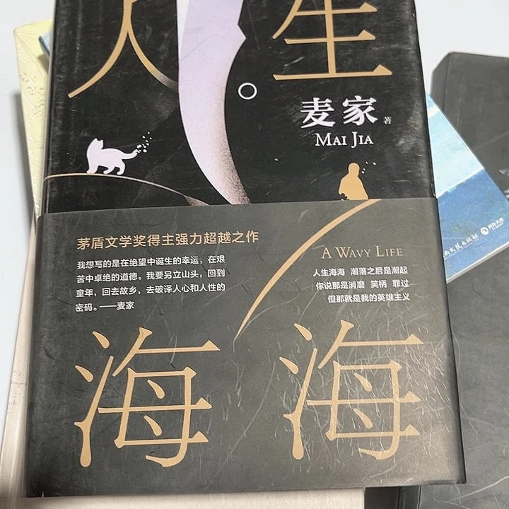 人生海海新书推荐