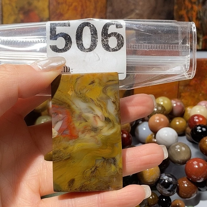 硅化玉未镶嵌天然北票树化玉吊坠