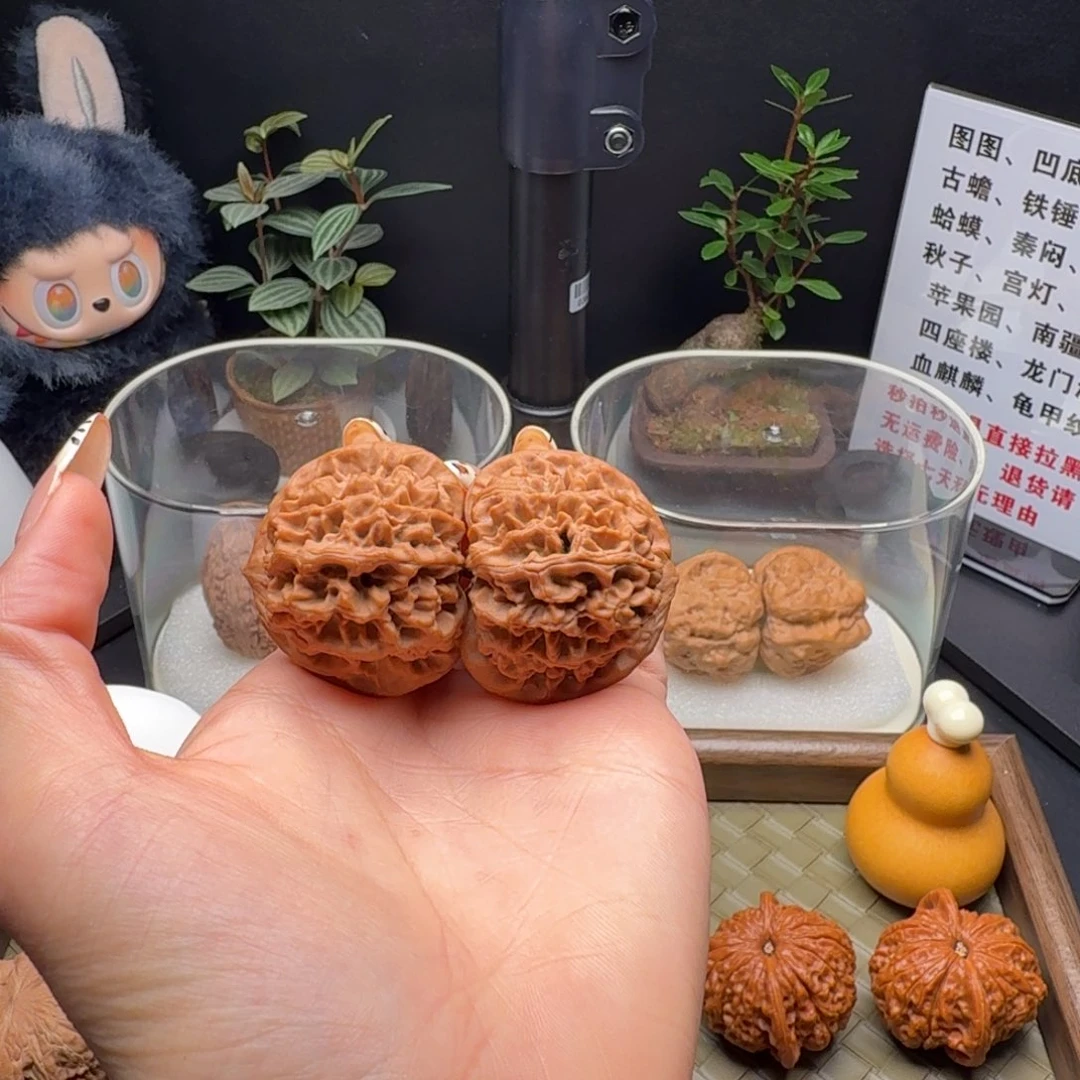 吊坠龙脊菩提全品精配秦闷