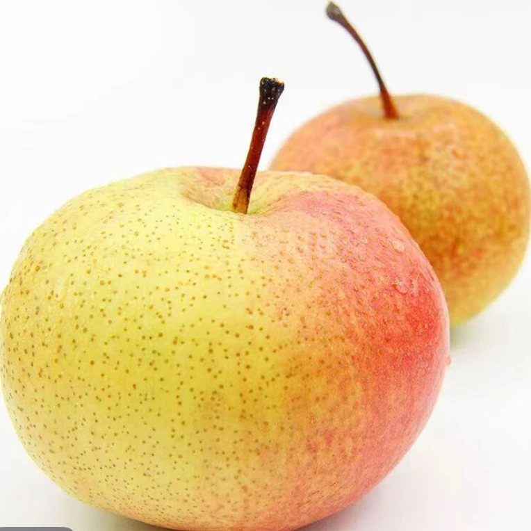 苹果梨 新鲜当季水果 脆甜多汁