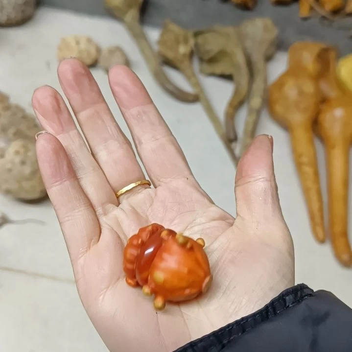 用****0满天星疙瘩葫芦满天星疙瘩葫芦