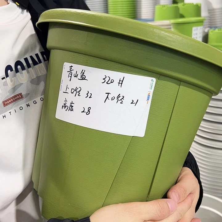 正品青山口32高28果绿无托5只