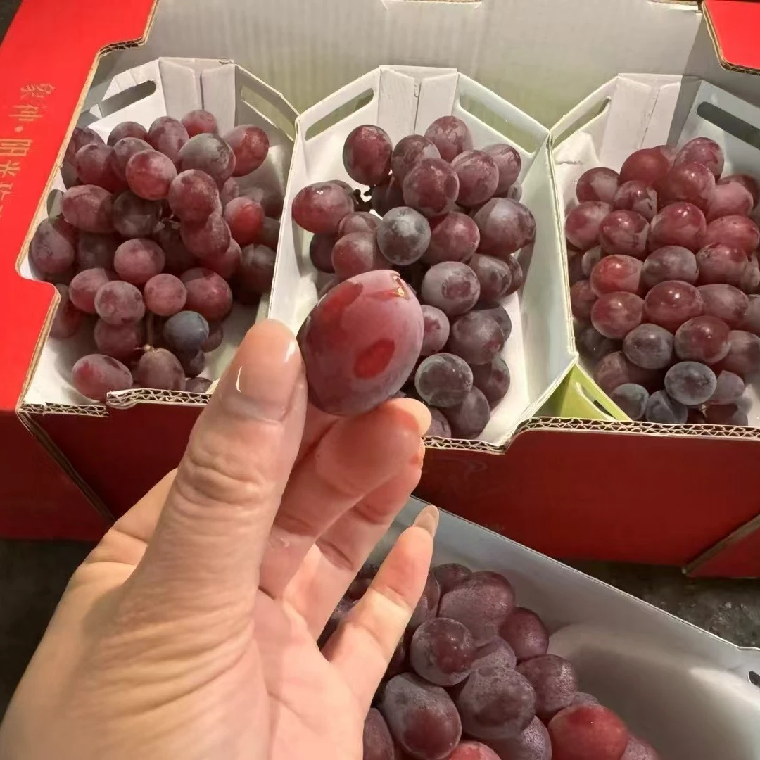 【果真不错】匠心级阳光红提 脆甜爽口，蜂蜜般的香甜600克/1800克湖北省