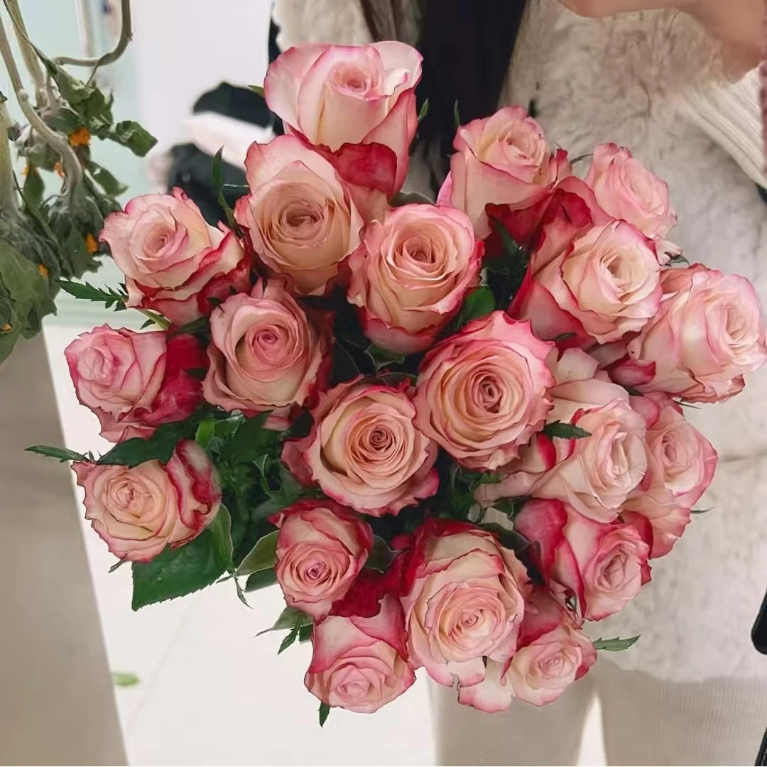 10枝红唇单头玫瑰(两单发顺丰或京东快递)