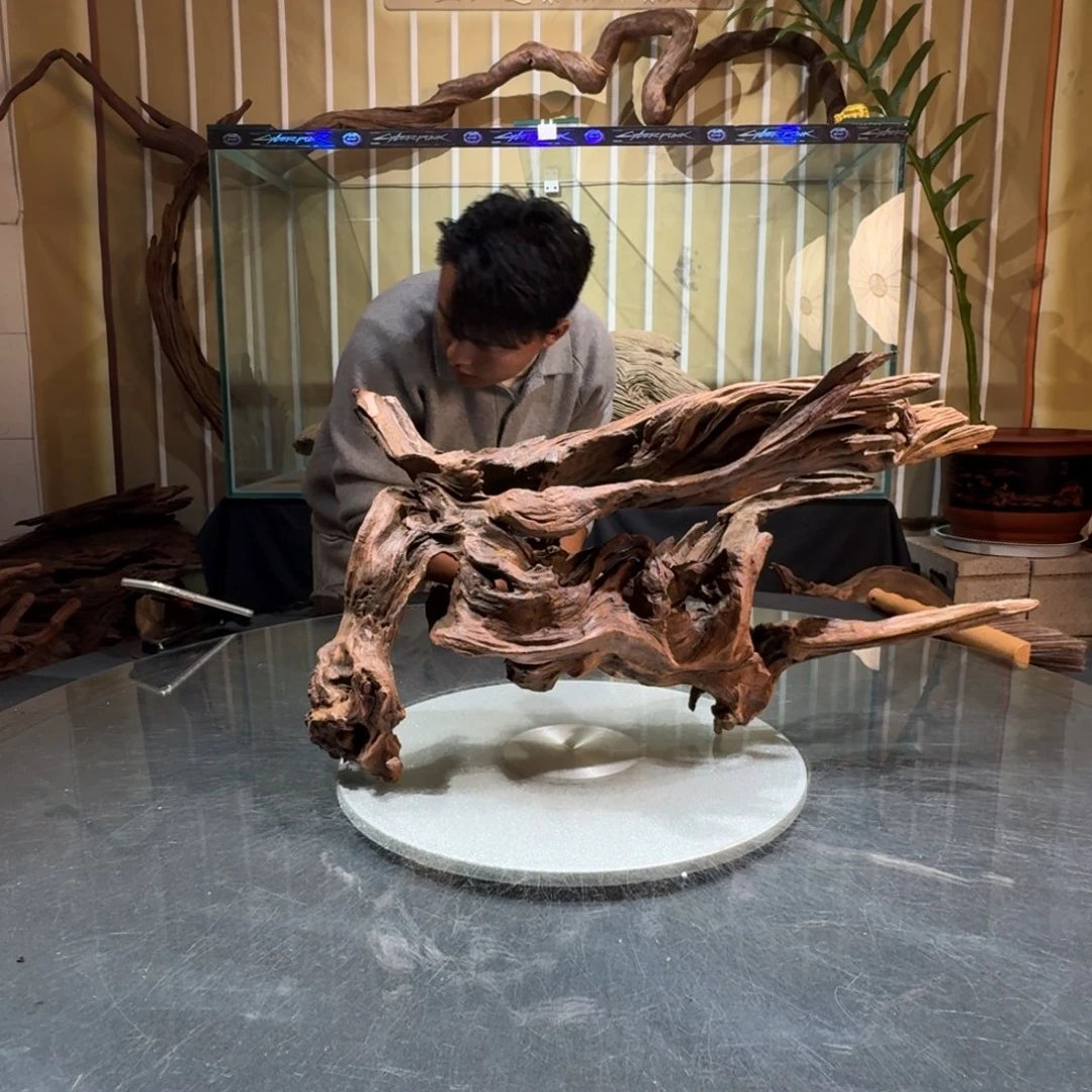 天***丶一物一拍鱼缸造景