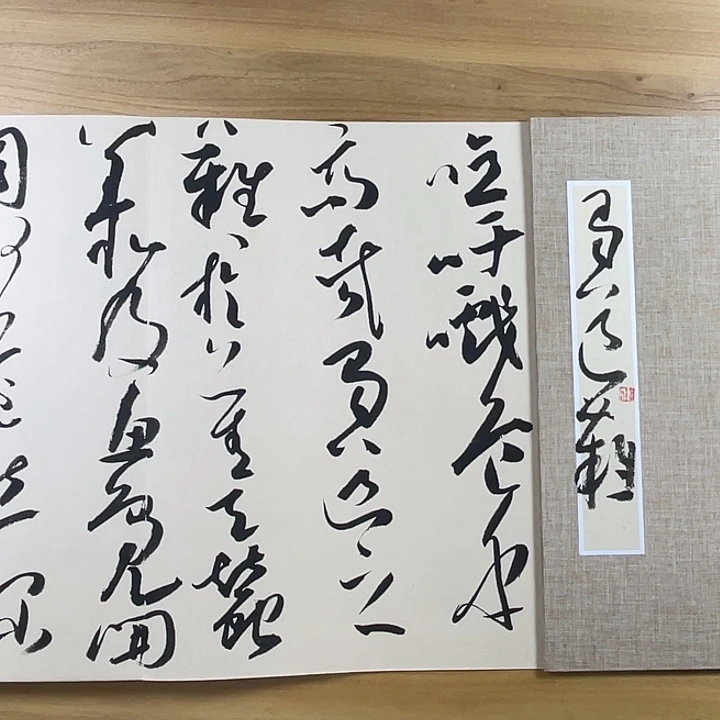 书法中书协老师老师