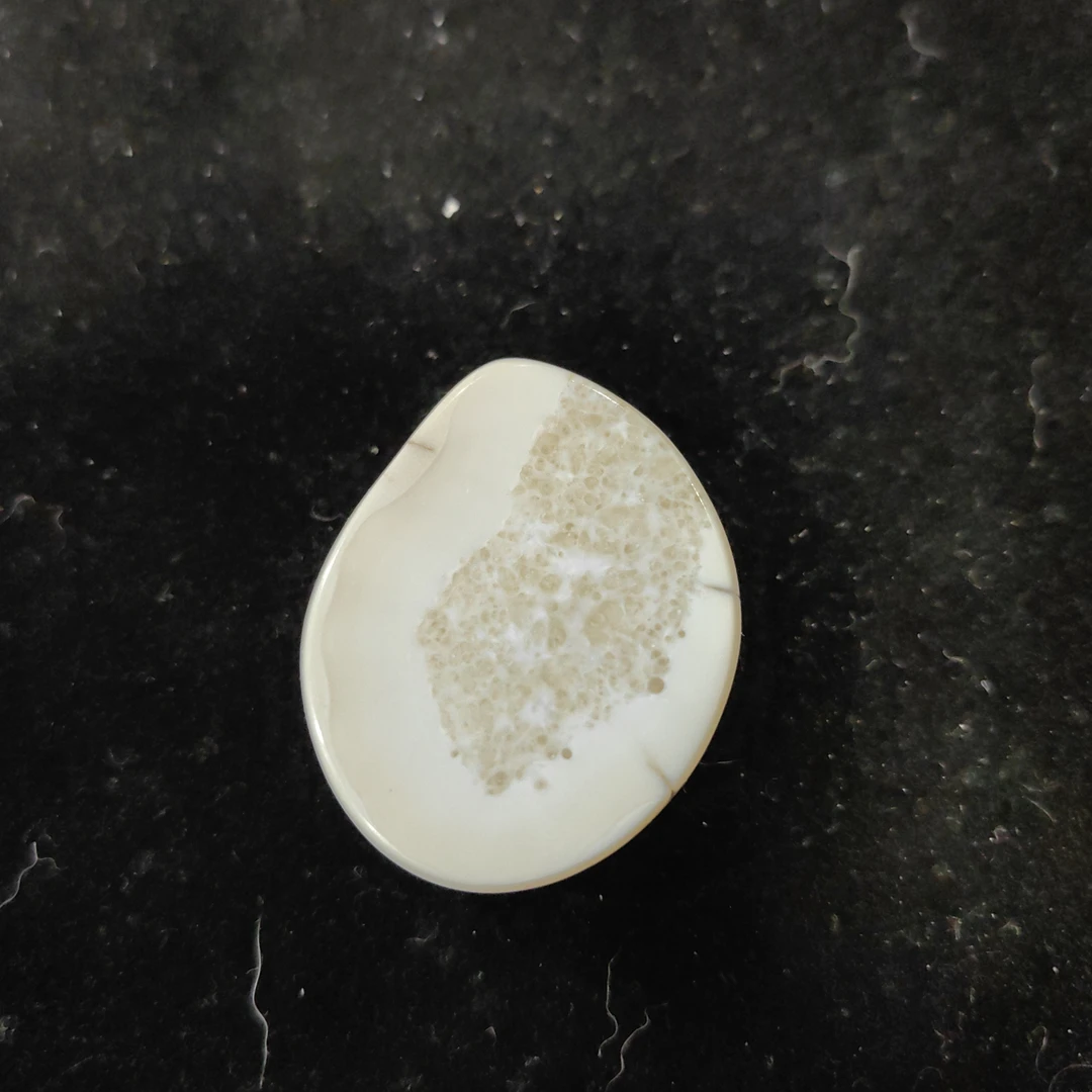猛犸猛犸虬饼子WT346