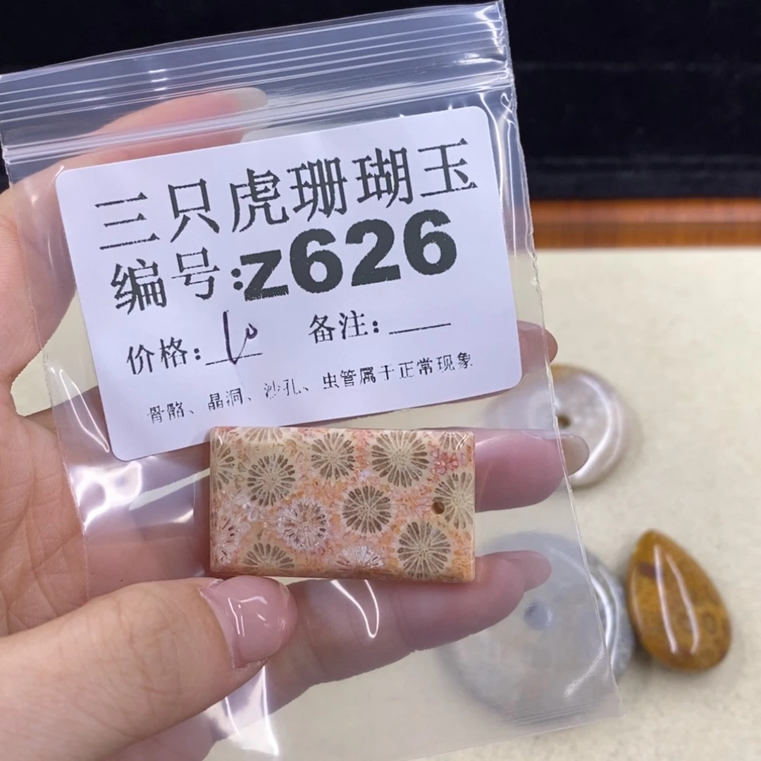 硅化珊瑚（珊瑚玉）1未镶嵌丢*