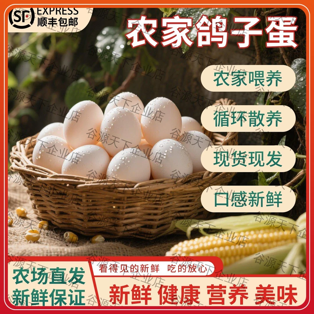 新鲜天然商务大鸽子蛋  当日鲜蛋 顺丰包邮 厂家直发 中秋送礼