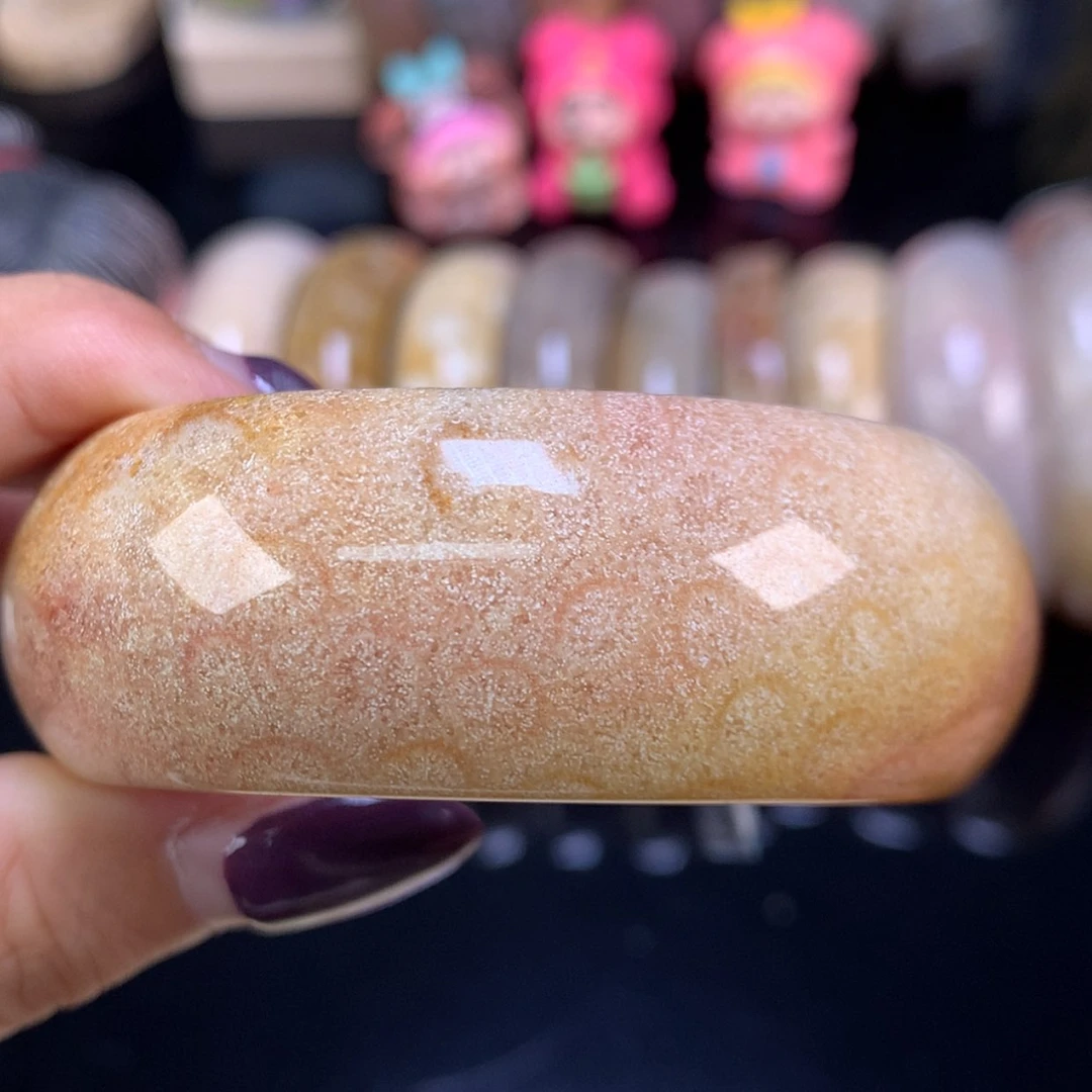 【闪购商品】颈饰未镶嵌硅化珊瑚（珊瑚玉）潜力股可养53.7口（33号）
