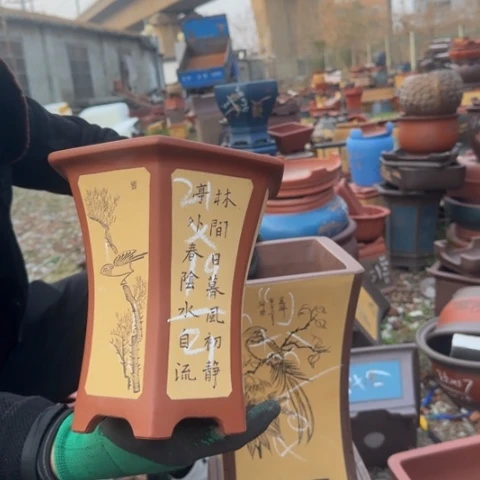 红陶紫砂花盆盆景盆栽