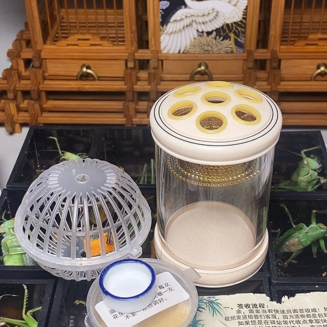 鸣韵七孔蝈蝈罐加蝈蝈