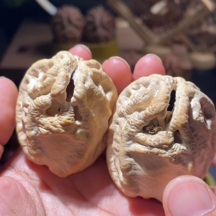 桃核吊坠乾坤核桃42