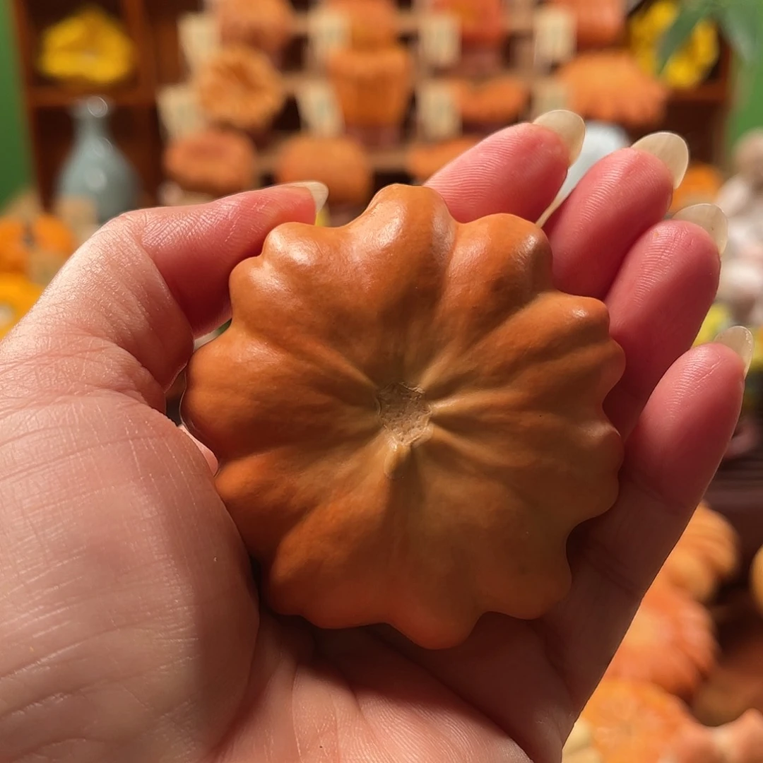 待*…墨西哥葫芦手把花瓣