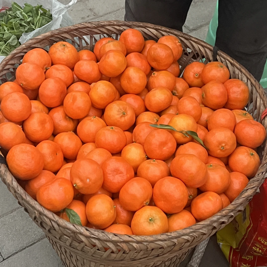 （本地红橘）重庆武隆本地柑子应季柑子新鲜采摘