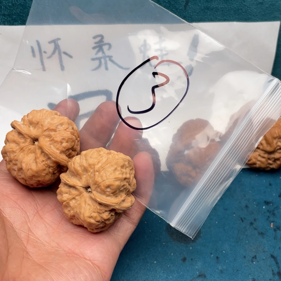 核桃537753753753357573573357
