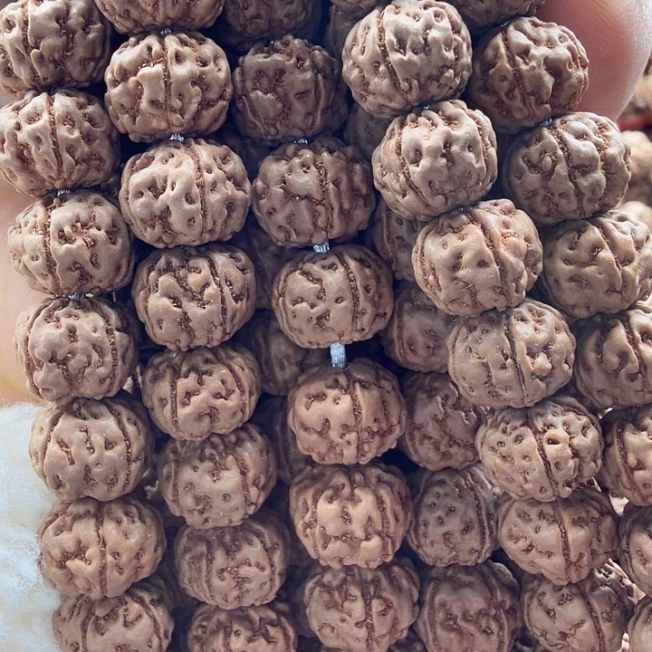 金刚菩提吊坠龙骨梅花10左右