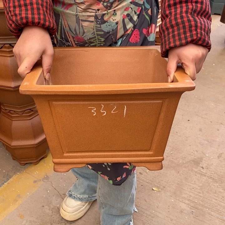 紫砂花盆只顾吃肉