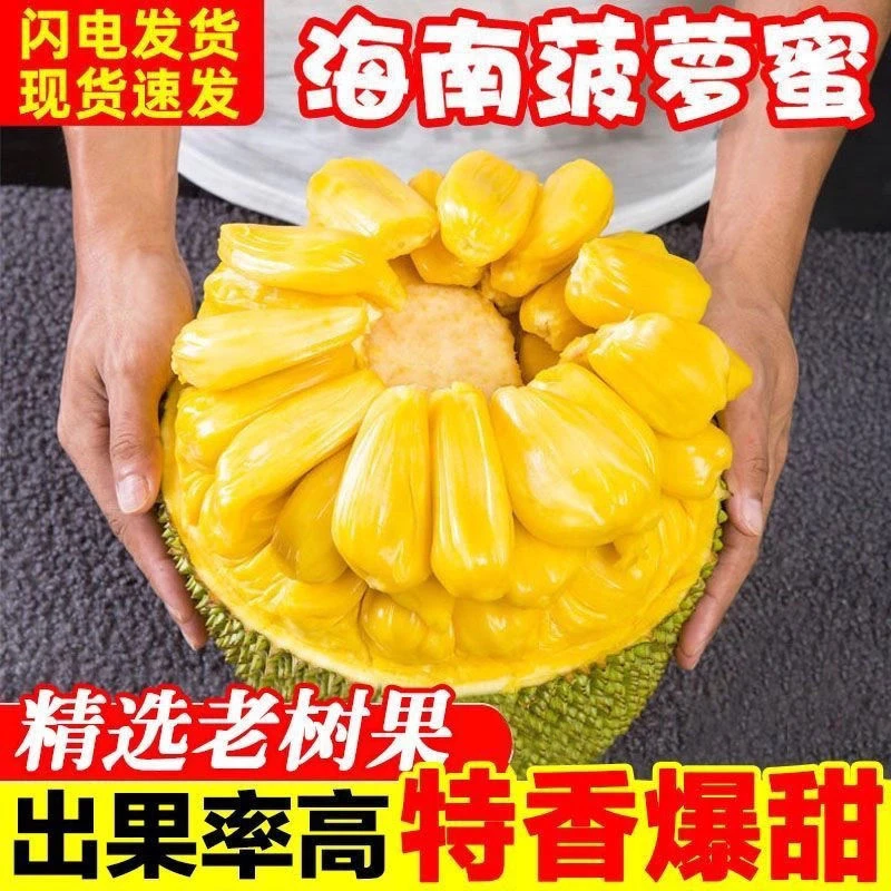 海南三亚老树果干包一整个菠萝蜜脆甜新鲜热带水果
