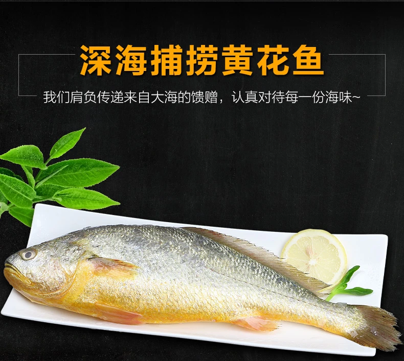 连云港发货 新鲜深海大黄花 黄花鱼4条装(450g-550g/)条急冻保鲜