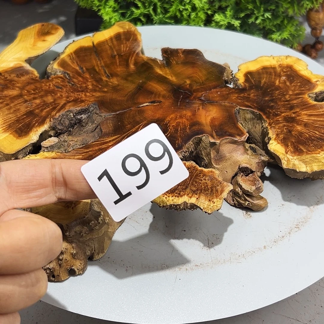 梨木全***夫麻梨核的啊