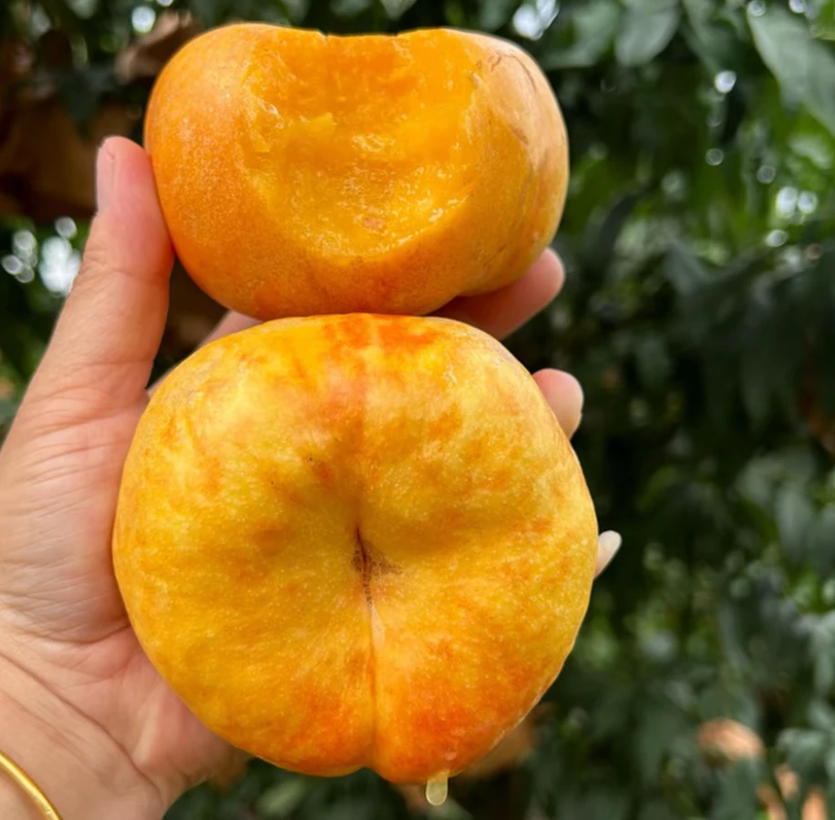 陕西黄金油蟠桃彩虹桃新鲜水蜜桃当季现摘时令水果甜扁桃5斤包邮