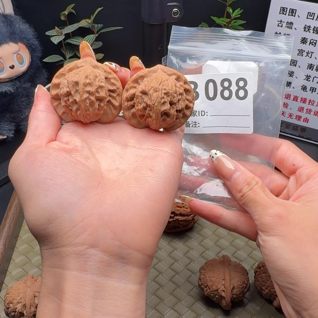吊坠龙脊菩提图图