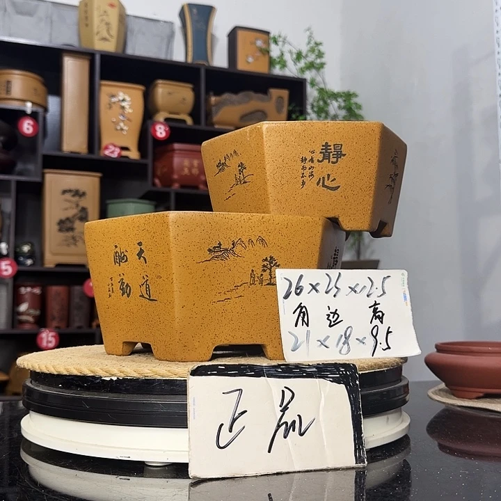 紫砂花盆盆友记紫砂