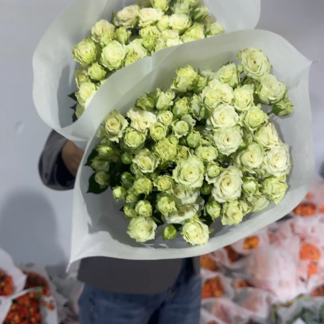 繁星2扎包邮价秒杀
