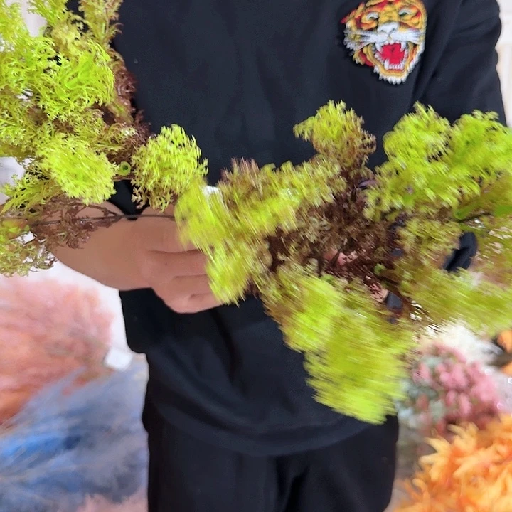 绿色把束胖松20把