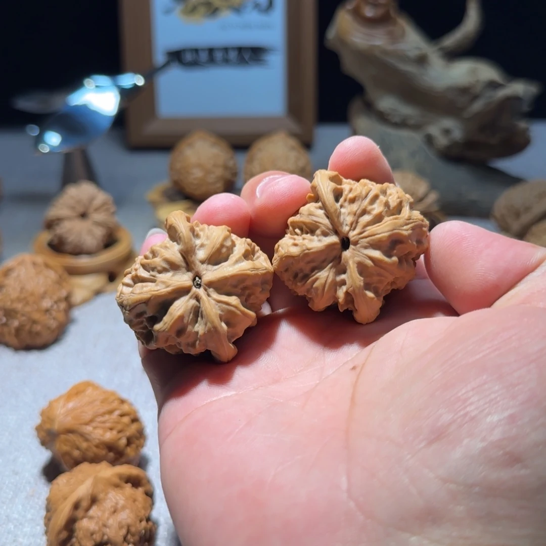 文玩核桃把件尼****王全品40野狼
