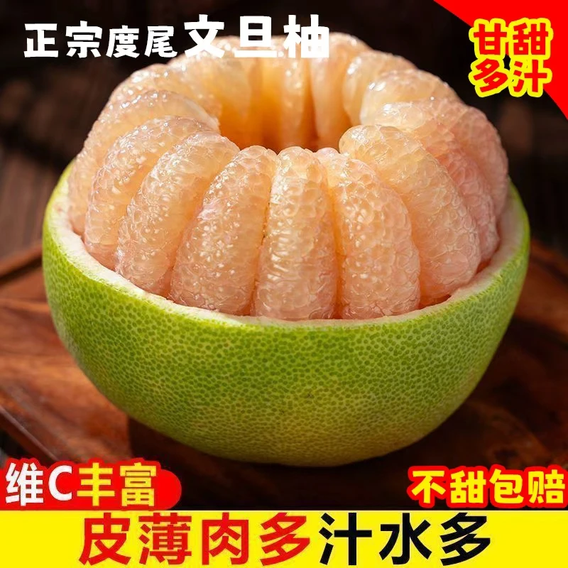 福建仙游度尾老树文旦柚当季新鲜水果酸甜多汁