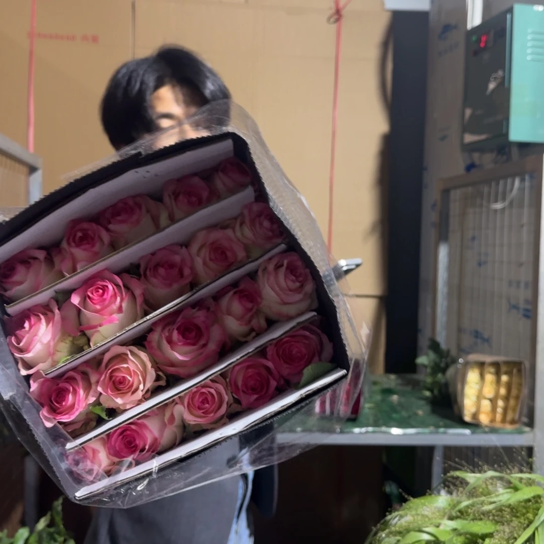 艾莎1扎。