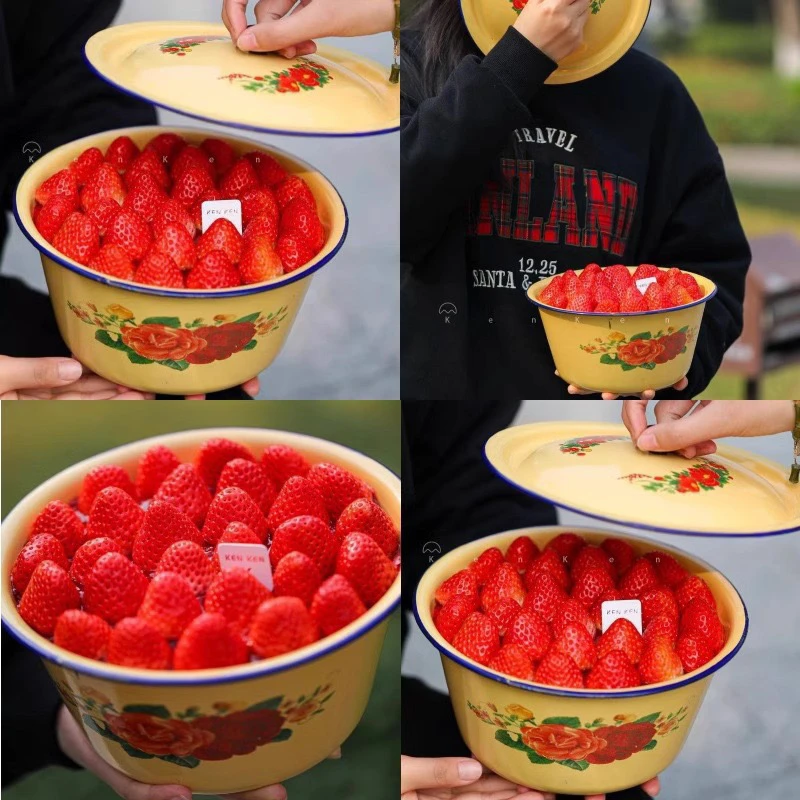 草莓蛋糕盆带盖汤锅怀旧搪瓷盆调料碗排队猪油盆奶茶水果捞网红