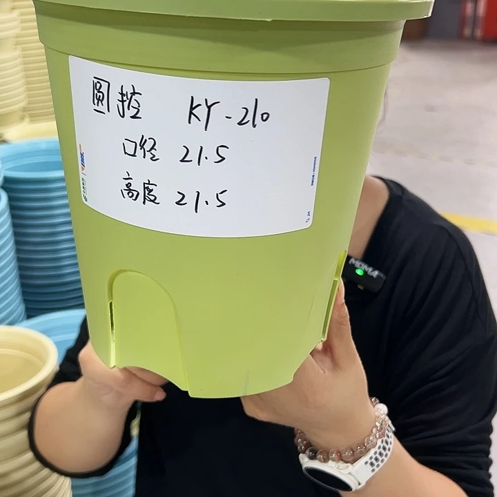 特价圆控口21高21果绿无托5只