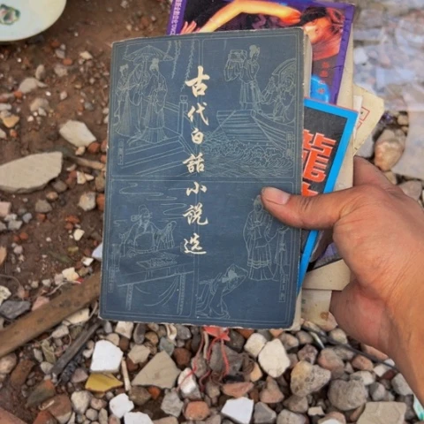 杂色豆（科檀/科特迪瓦檀木）小**.