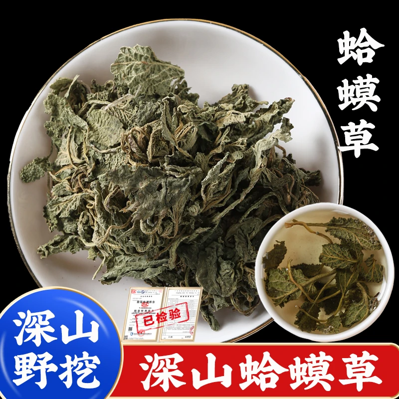 蛤蟆草中药材癞蛤蟆草的功效作用泡水野生新鲜干中草药泡茶